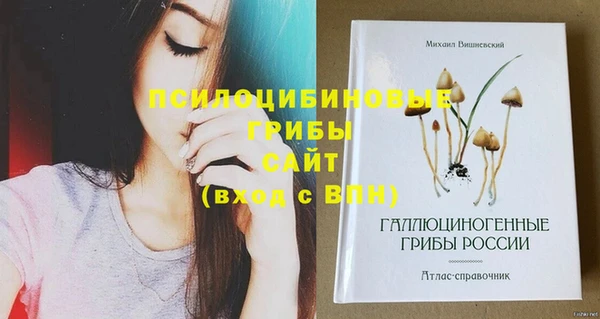 синтетический гашиш Жердевка