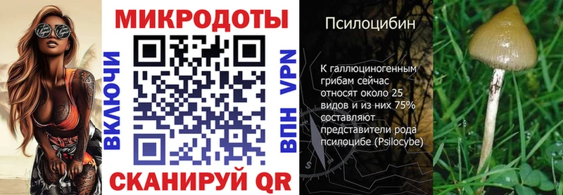 Галлюциногенные грибы Psilocybine cubensis купить Верхний Тагил
